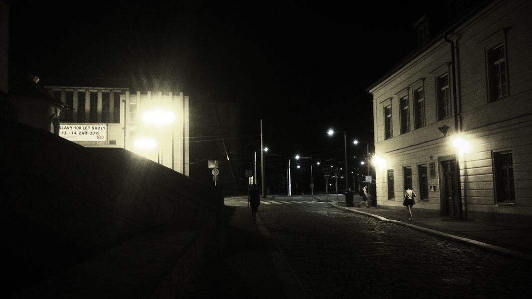 T 23 / Expodium – picnic & night walk